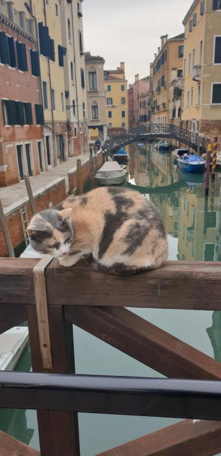 Magic Casanova Flat In The Heart Of Venice Appartement Buitenkant foto